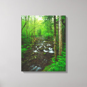 Great Smoky Mountains Canvastryck