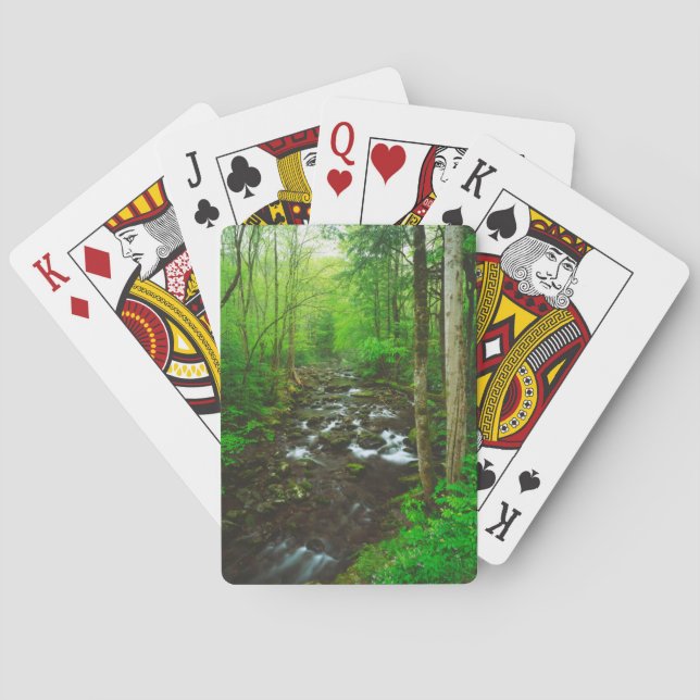 Great Smoky Mountains Casinokort (Baksidan)