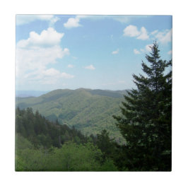 Great Smoky Mountains Kakelplatta