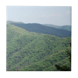 Great Smoky Mountains Kakelplatta