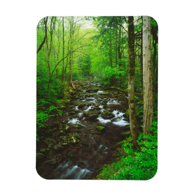 Great Smoky Mountains Magnet (Vertikal)