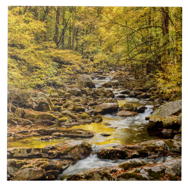 Great Smoky Mountains National Park. Big Creek Kakelplatta (Framsidan)