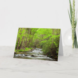 Great Smoky Mountains National Park North Carolina Kort