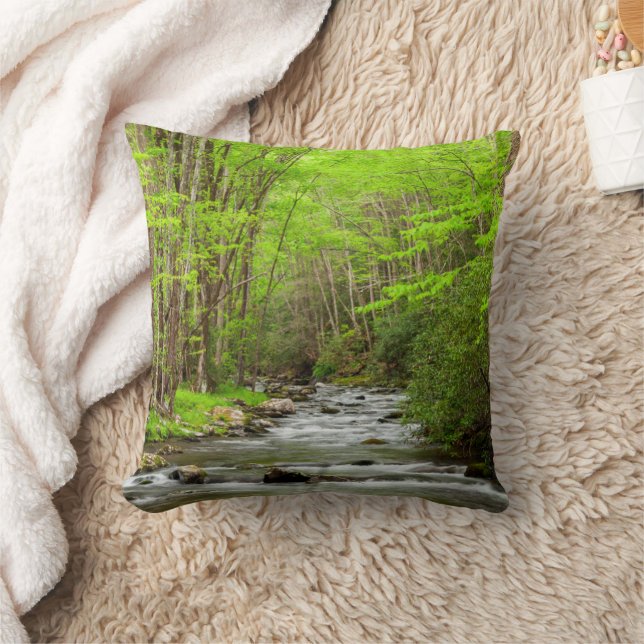 Great Smoky Mountains National Park North Carolina Kudde (Filt)