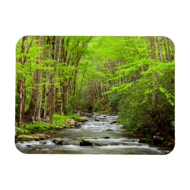 Great Smoky Mountains National Park North Carolina Magnet (Horisontell)