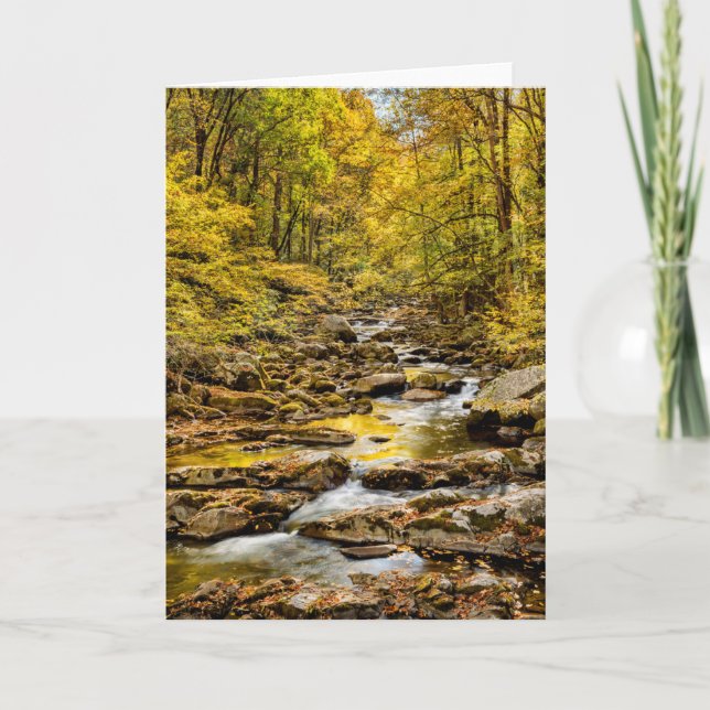 Great Smoky Mountains nationalpark. Big Creek Kort (Framsida)