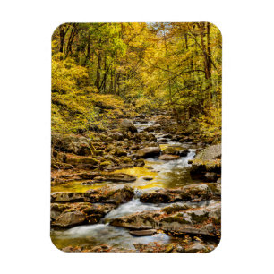 Great Smoky Mountains nationalpark. Big Creek Magnet