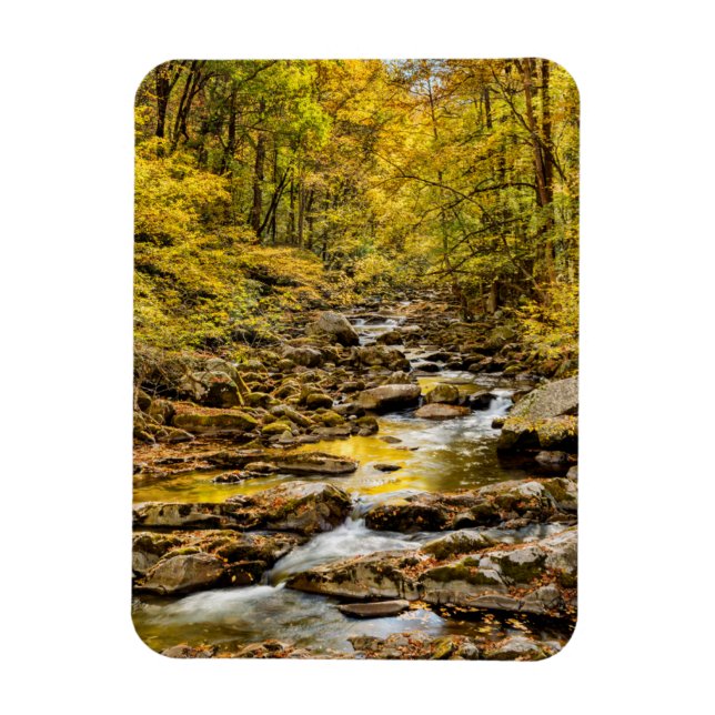 Great Smoky Mountains nationalpark. Big Creek Magnet (Vertikal)