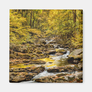 Great Smoky Mountains nationalpark. Big Creek Magnet