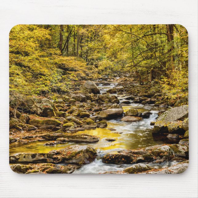 Great Smoky Mountains nationalpark. Big Creek Musmatta (Framsidan)