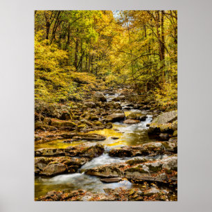 Great Smoky Mountains nationalpark. Big Creek Poster