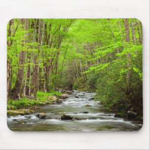 Great Smoky Mountains nationalpark North Carolina Musmatta