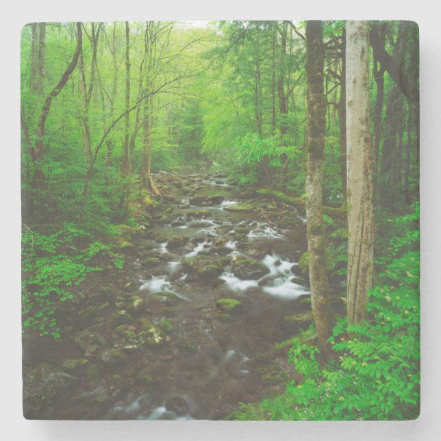 Great Smoky Mountains Stenunderlägg (Framsidan)