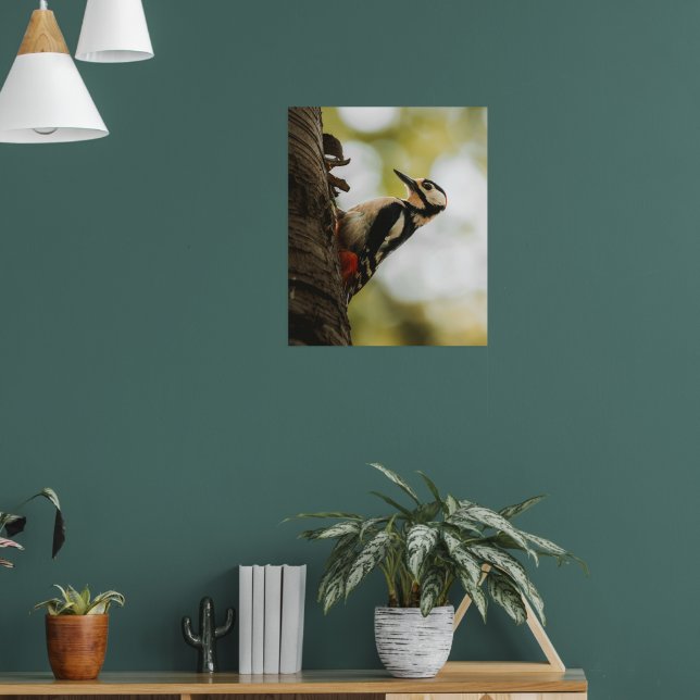 Great Spotted Woodpecker Fine Art Nature Poster (Vardagsrum 1)