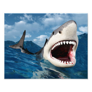Great White Shark Fototryck