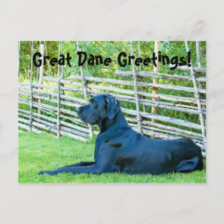 GreatDaneGreetingsPostcard Vykort