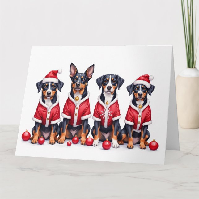 Greater Swiss Mountain Dog Christmas Dress Santa Kort (Framsida)