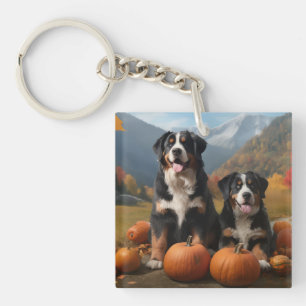 Greater Swiss Mountain Hund Höstglädje Pumpa