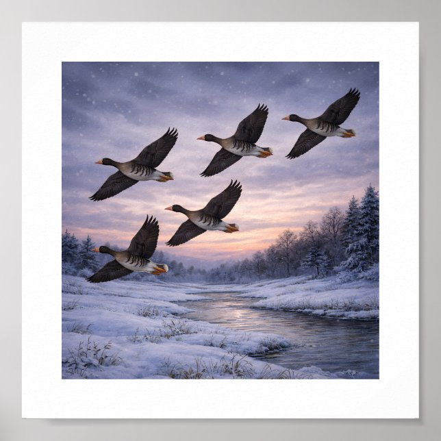 Greater White-fronted Geese in Winter –  Poster (Framsidan)