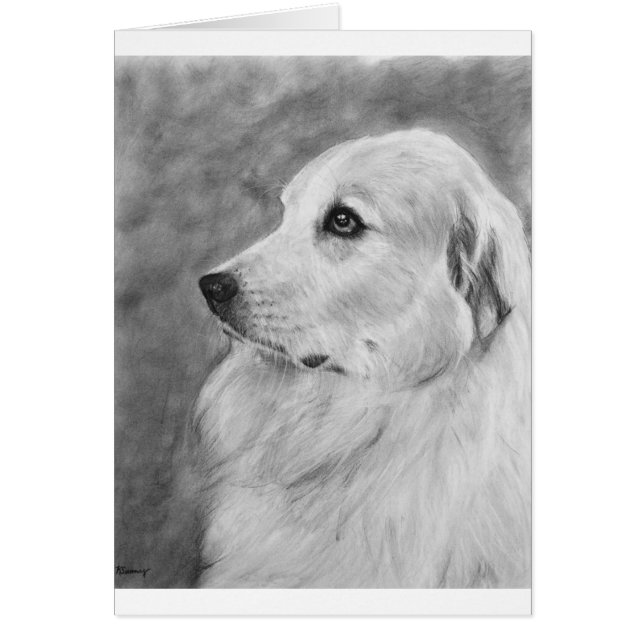 GreatPyreneese.jpg Hälsningskort (Framsidan)