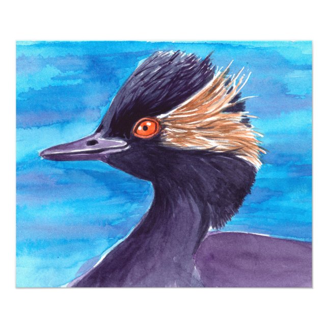 Grebe Fototryck (Framsidan)