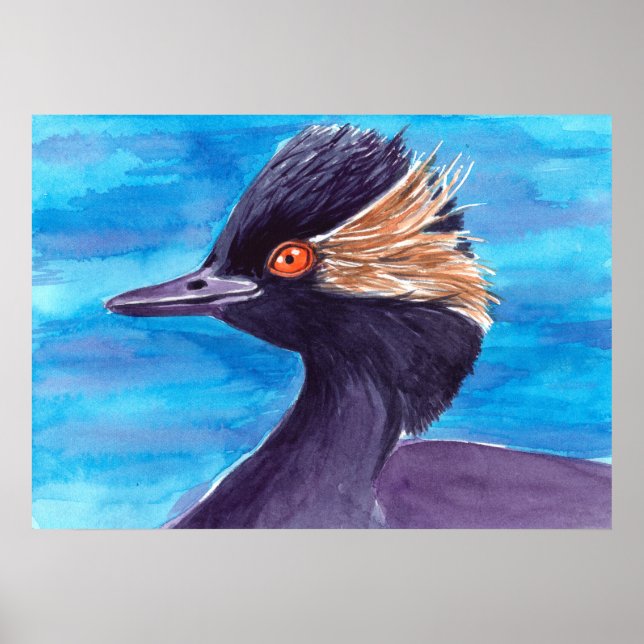 Grebe Poster (Framsidan)