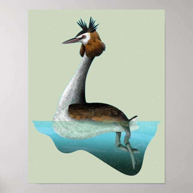 Grebe Poster (Framsidan)