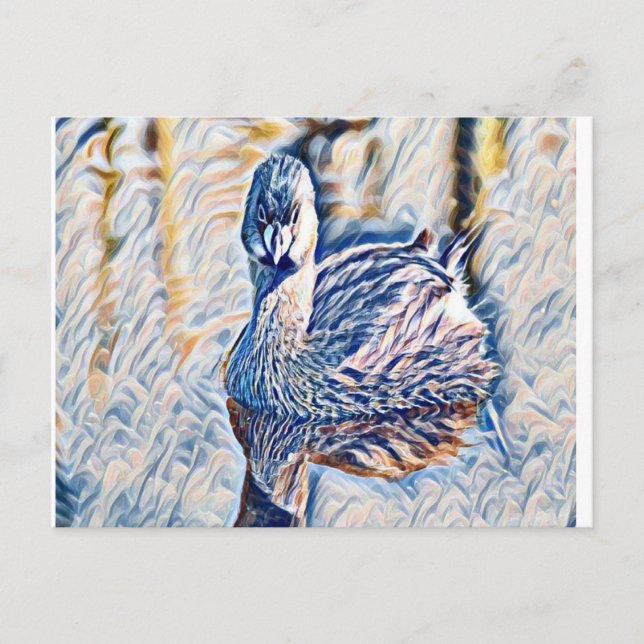 Grebe Vykort (Framsida)