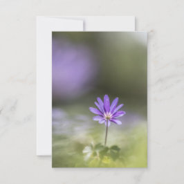 Grecian windblomNatature Photo Kort