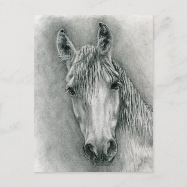 Greco Vykort (Framsida)