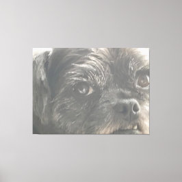 Greedo Watches Canvastryck