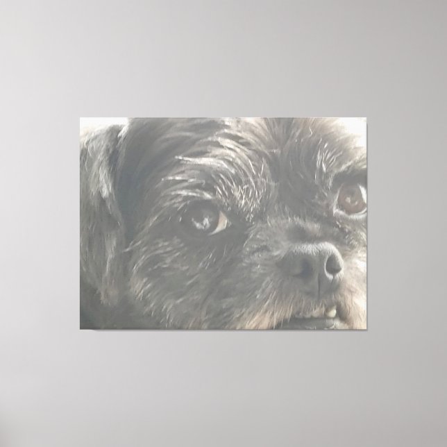 Greedo Watches Canvastryck (Framsida)