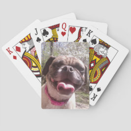 Greedos Mor Ken Gage Photography Hund Casinokort