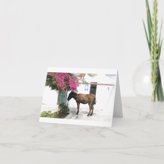 GreekIslandHouse.com åsnamaskot Opa! Kort (Framsida)