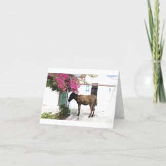 GreekIslandHouse.com åsnamaskot Opa! Kort