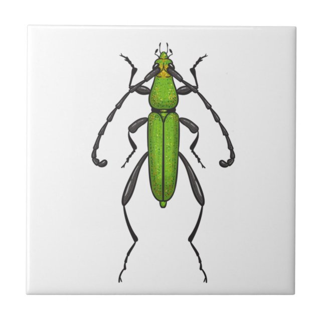 Green beetle kakelplatta (Framsidan)