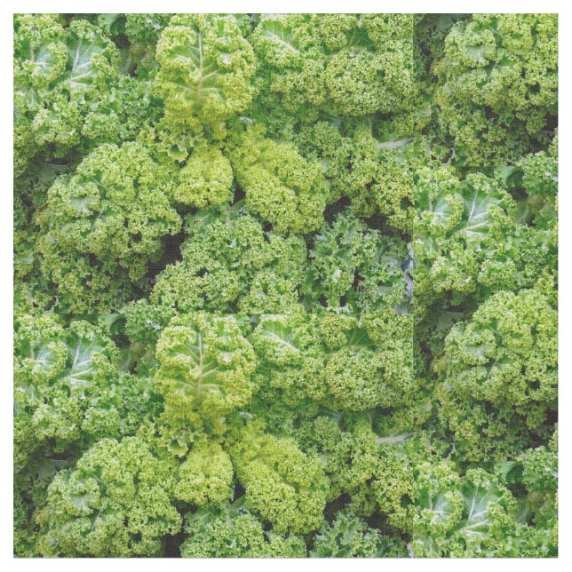 Green cabbage tyg (Närbild)