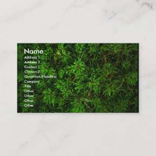 green_card visitkort