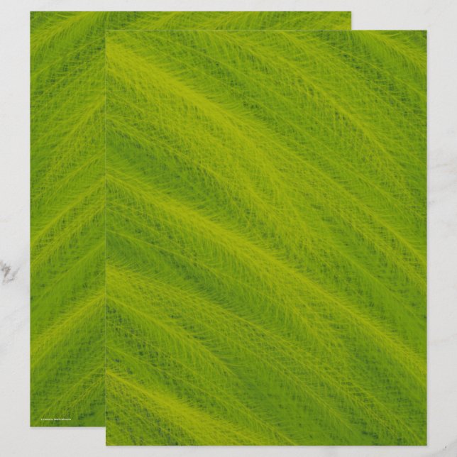 Green Field of Wheat Scrapbook Paper 2-Sided Page (Fram/baksida)