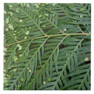 Green Foliage Kakelplatta