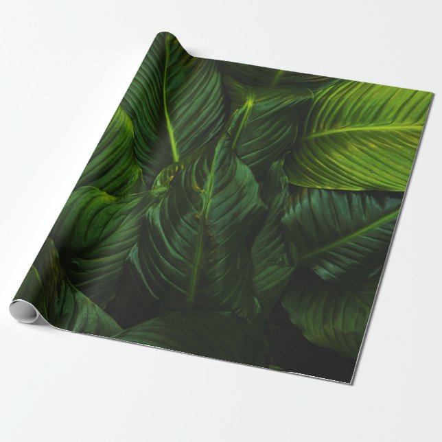 GREEN-LEAFED PLANT PRESENTPAPPER (Utrullad)