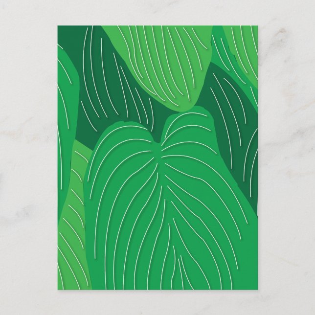 Green Leaves Botanical Vykort (Framsida)