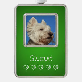 Green Pet Photo Ornament - Frame, Pet's Name