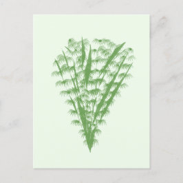 Green plant in the shape of a bouquet. vykort