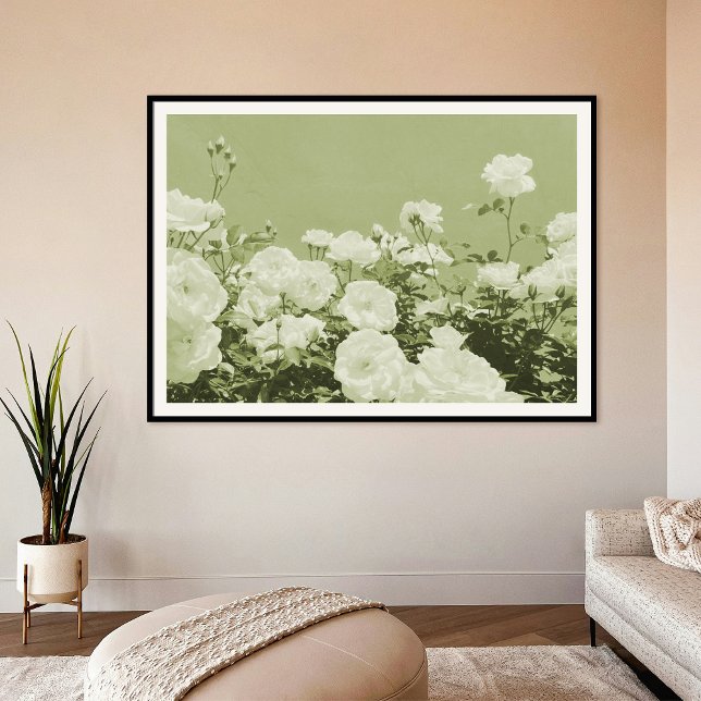 Green Roses Floral Garden Photo Art Print Poster (Skapare uppladdad)