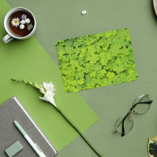 Green Shamrocks Floral St Patrick's Day Kort