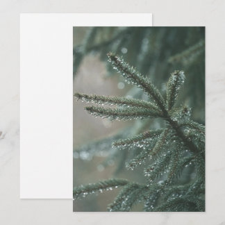 Green spruce tree close-up, Christmas esthetic Julkort
