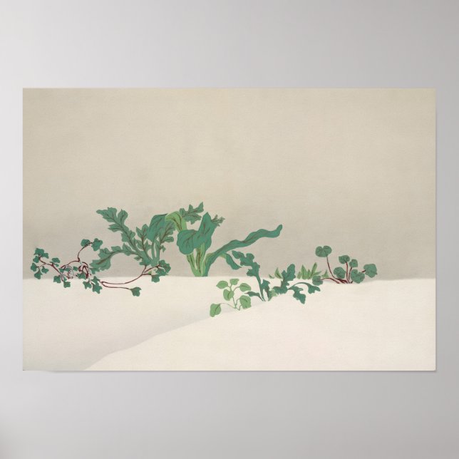  Green Vegetable Poster (Framsidan)