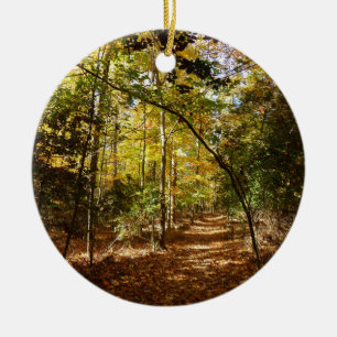 Greenbelt Park i Fall I Maryland Ligcape Julgransprydnad Keramik