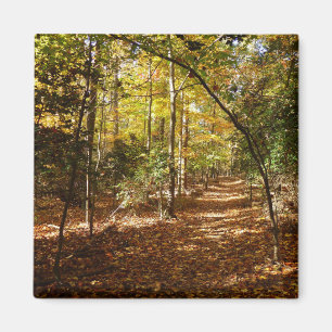 Greenbelt Park i Fall I Maryland Ligcape Magnet